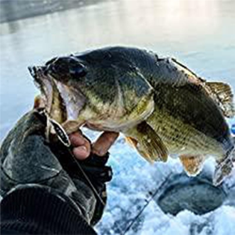 Fishing Boat Depth Finder - ABLB-Эхолот для каяка, портативный глубиномер для